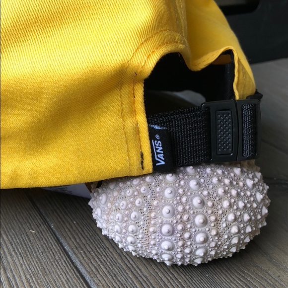 ⭐️VANS⭐️ - Picture 4 of 5